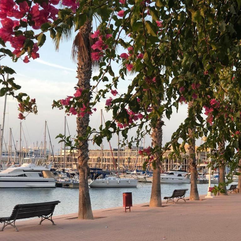 10-46-1- Комната В Квартире Для 4 Человек В Аликанте Alicante Exterior photo